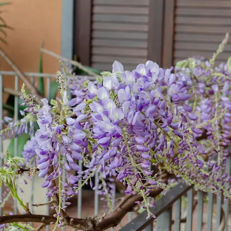 La Dimora Degli Ulivi Holiday home Sant'Alfio