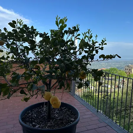 La Dimora Degli Ulivi Holiday home